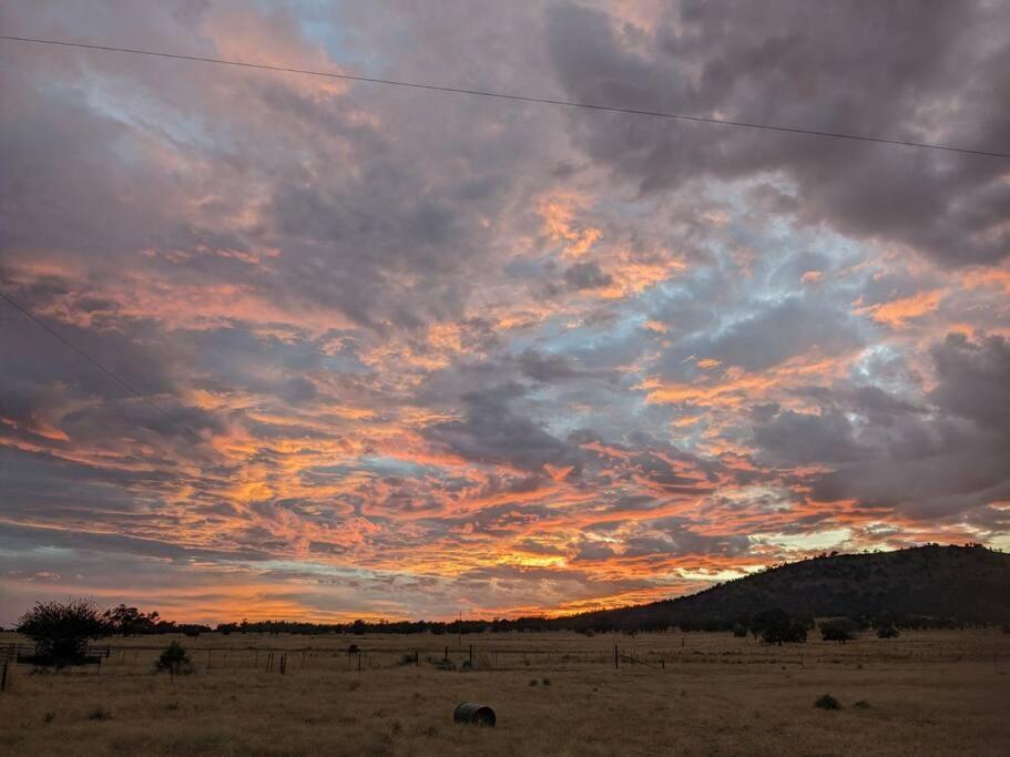 Paddock Silo Forbes